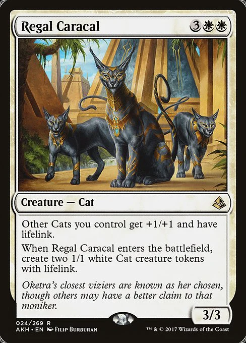 Regal Caracal - Amonkhet - R - 24