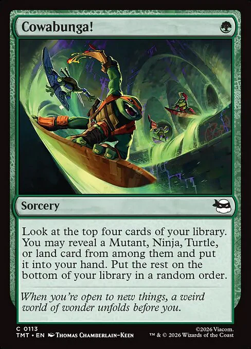 Cowabunga! - Teenage Mutant Ninja Turtles - C - 113